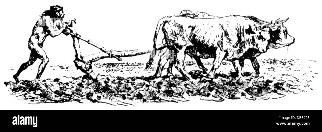 agriculture, agricultural work, plowing, ard drawn by oxen, circa 2000 BC, drawing, 19th century, prehistory, prehistoric times, prehistorical, prehistoric, people, men, man, farmer, farmers, animals, animal, team, span of oxen, team of oxen, plowing, working, field, fields, plough, plow, ploughs, plows, tillage, tilth, arable farming, cultivation, Neolithic Revolution, Stone Age, neolithic, young stone age, agriculture, farming, agricultural work, farm labour, farm labor, ox, oxen, historic, historical, Additional-Rights-Clearences-Not Available Stock Photo