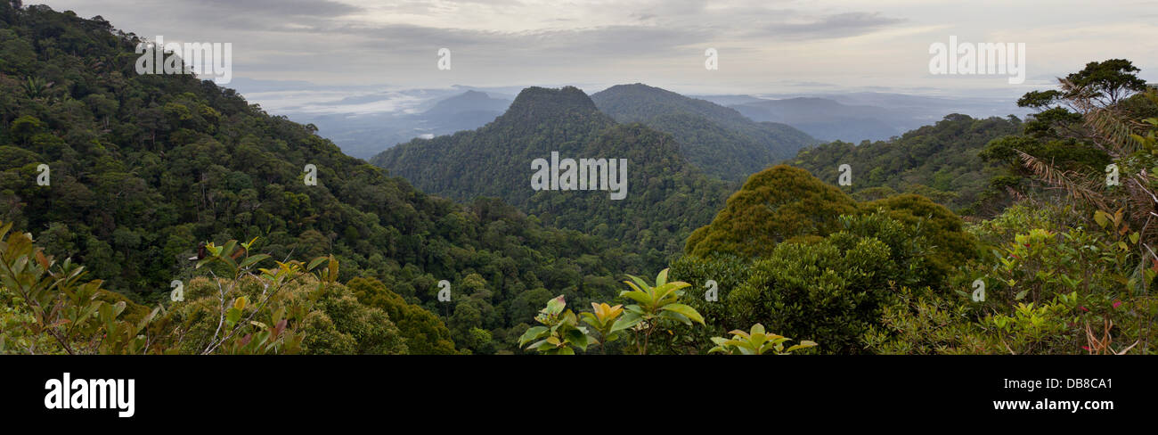Tropical national park hi-res stock photography and images - Alamy