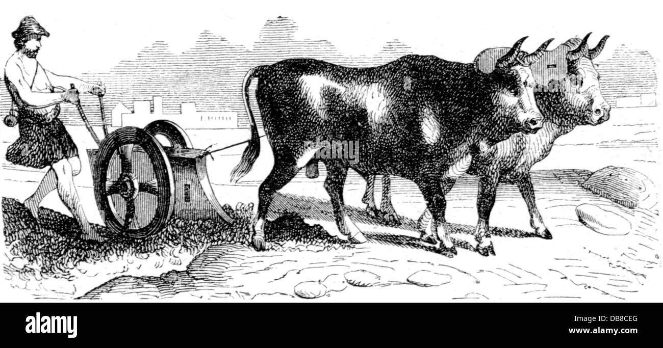 agriculture, agricultural work, plowing, Greek farmer with plough, circa 400 BC, wood engraving, 19th century, Greece, ancient world, ancient times, people, men, man, tillage, tilth, arable farming, draught animal, draught animals, working animal, work animal, working animals, ox, oxen, hook plough, field, fields, agriculture, farming, agricultural work, farm labour, farm labor, farmer, farmers, plough, plow, ploughs, plows, historic, historical, ancient world, male, Additional-Rights-Clearences-Not Available Stock Photo