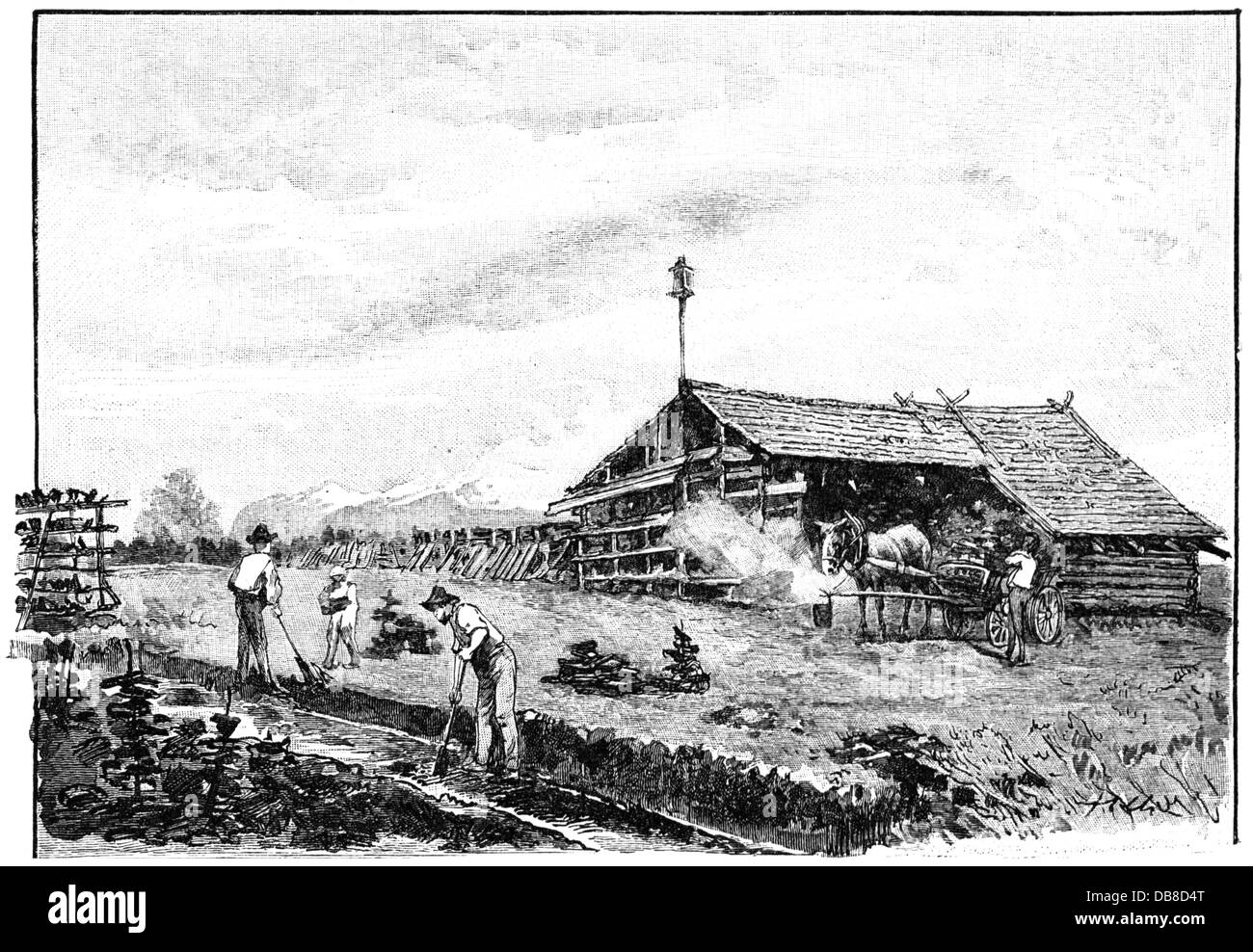 agriculture,farm labour,harvest,peat production in the Rhine Valley,wood engraving,19th century,19th century,graphic,graphics,moor,moors,marsh,marshes,stone turf,lard peat,crumble peat,vag,tallow peat,dredged peat,peat breccia,peat slime,muck,amorphous peat,conferva peat,drift peat,chaff peat,brushwood peat,cut peat,peat cutting,peat digging,agricultural labourer,peasant labourer,agricultural labourers,peasant labourers,farmhand,worker,workers,working,building,buildings,house,houses,horse,horses,horse-drawn vehicle,h,Additional-Rights-Clearences-Not Available Stock Photo