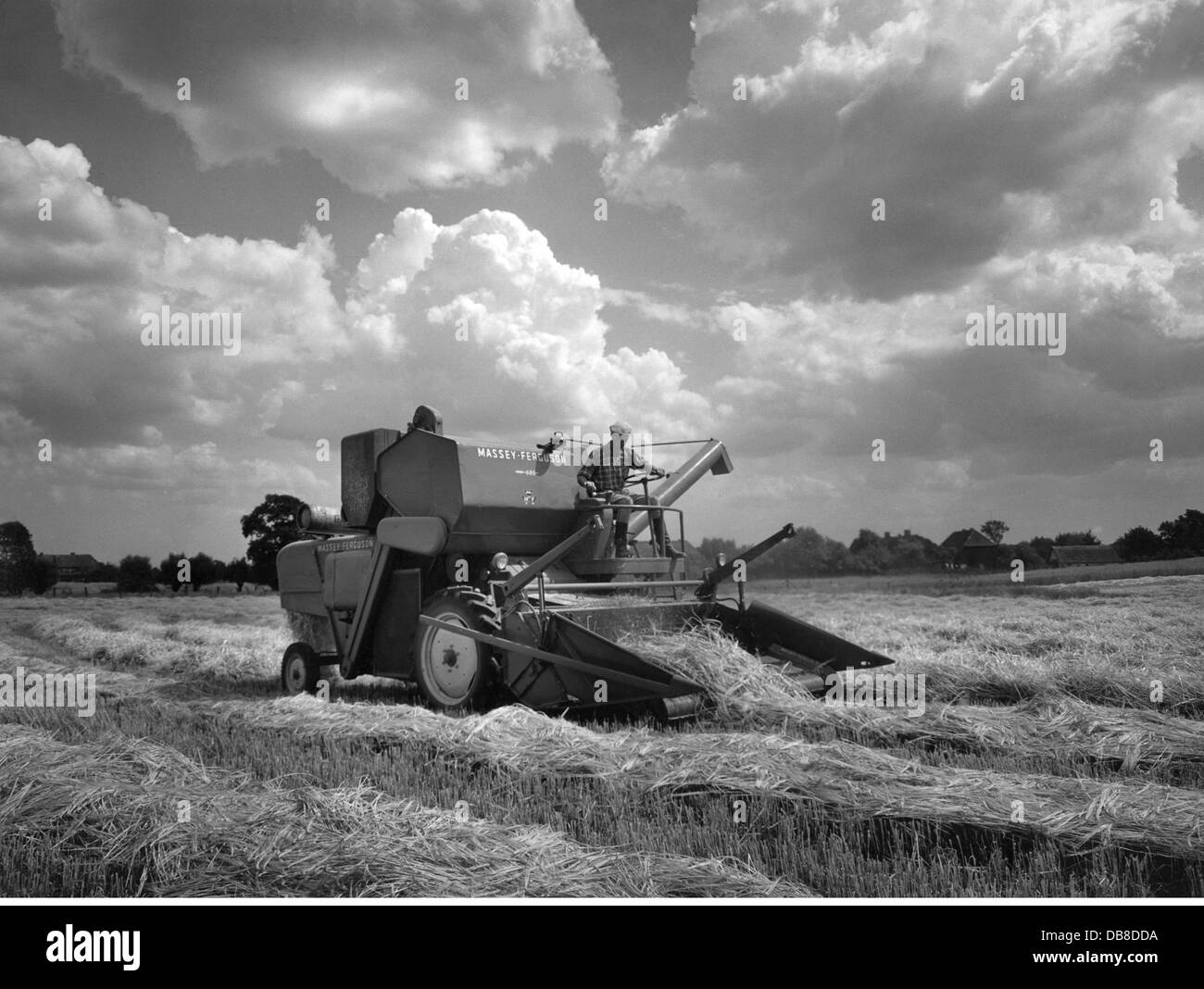 agriculture, machines, Massey-Ferguson 685 combine at the harvest, 1950s, Additional-Rights-Clearences-Not Available Stock Photo