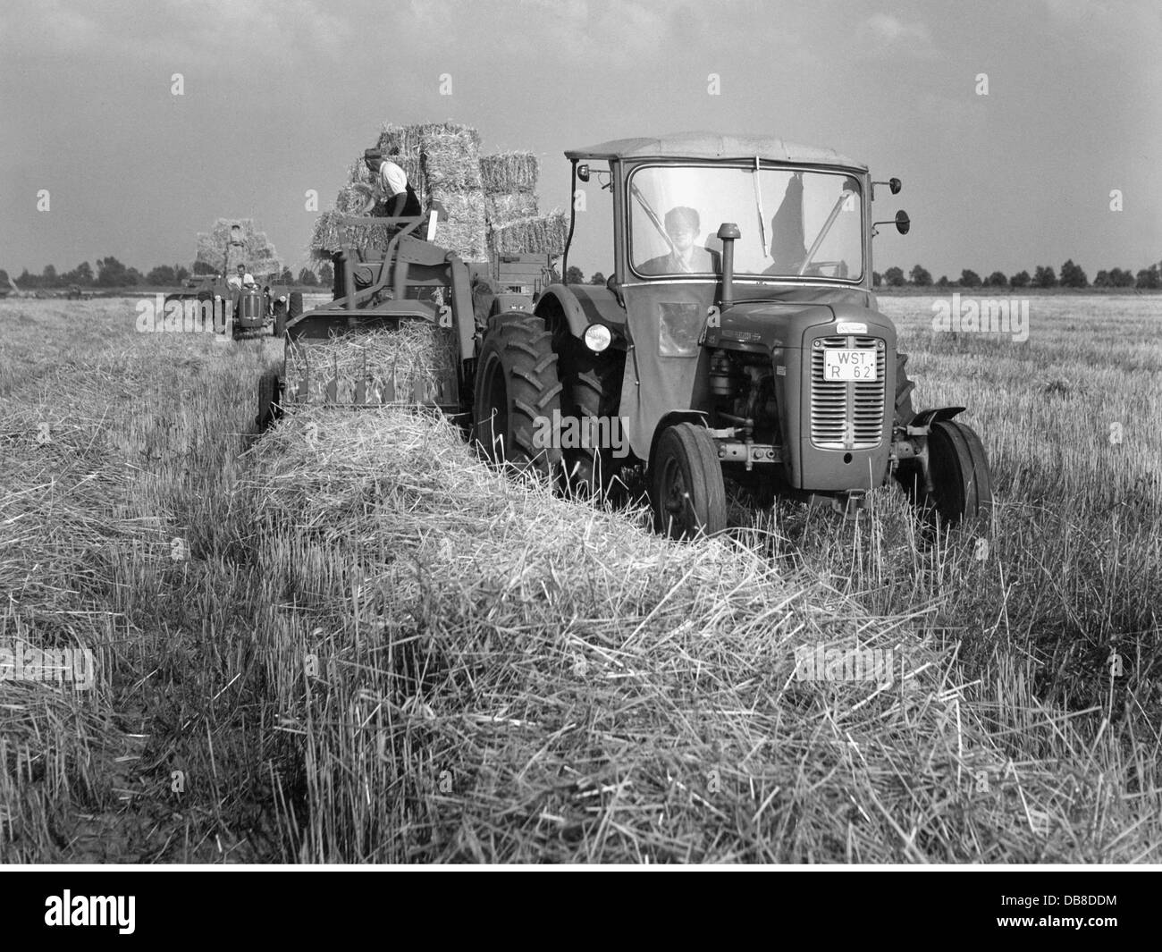 agriculture, machines, Massey-Ferguson 35 tractor at the harvest, Ammerland, 1950s, Additional-Rights-Clearences-Not Available Stock Photo