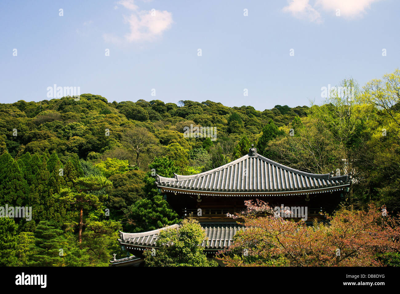 Old Chion Temple in Japanese Forest Stock Photo