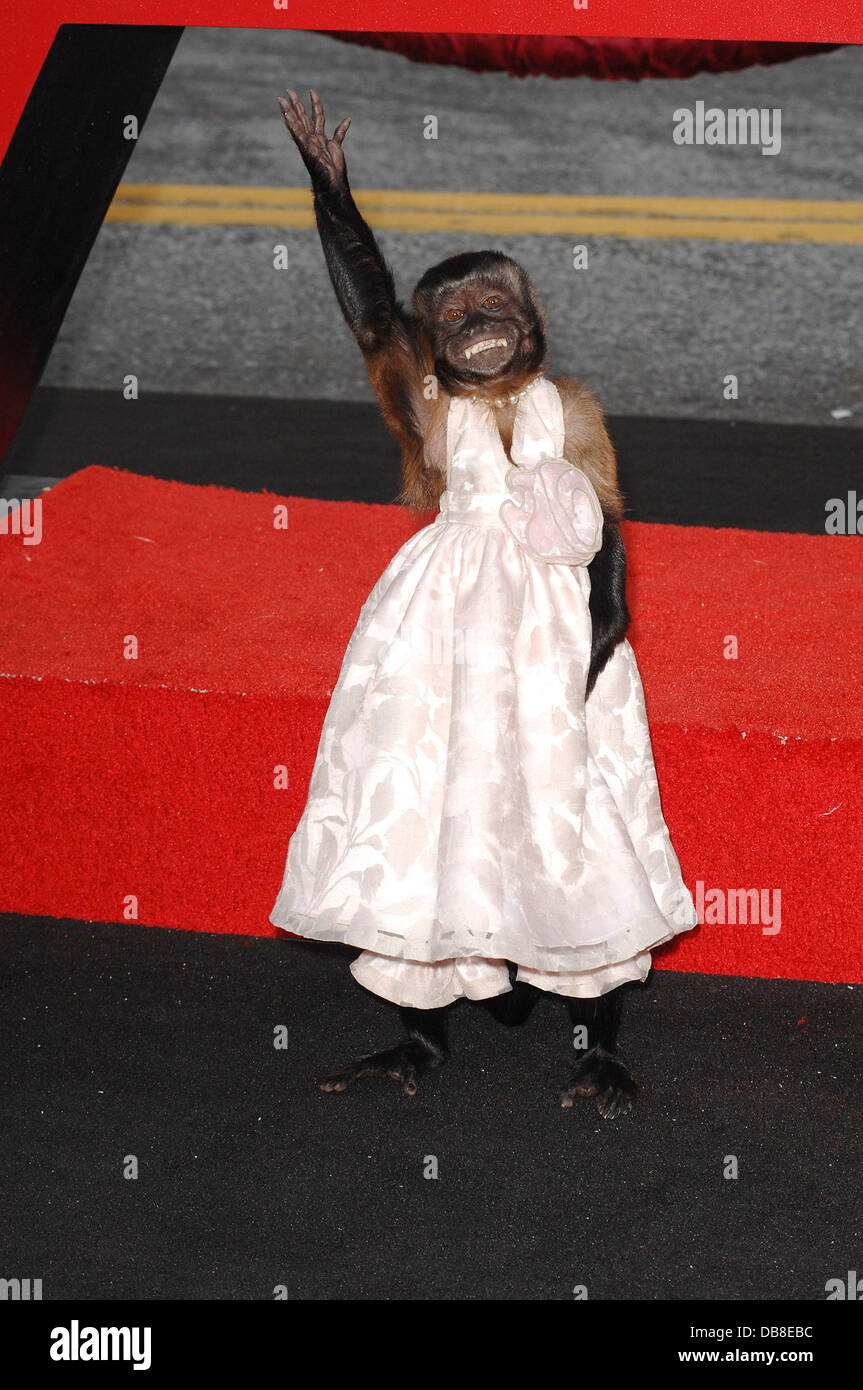 Monkey Crystal Los Angeles Premiere of 'The Hangover Part II' held at
