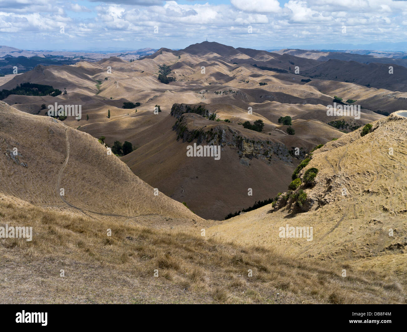 dh Te Mata Peak HAWKES BAY NEW ZEALAND View of dry summer countryside from viewpoint hillside nz country island landscape havelock north landscapes Stock Photo