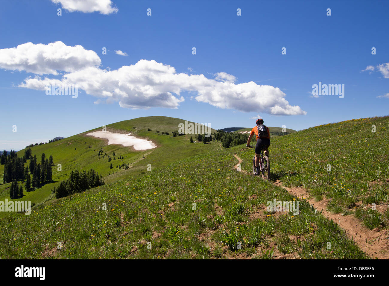 Kelly Perkins mountain biking on the Colorado trail. Stock Photo