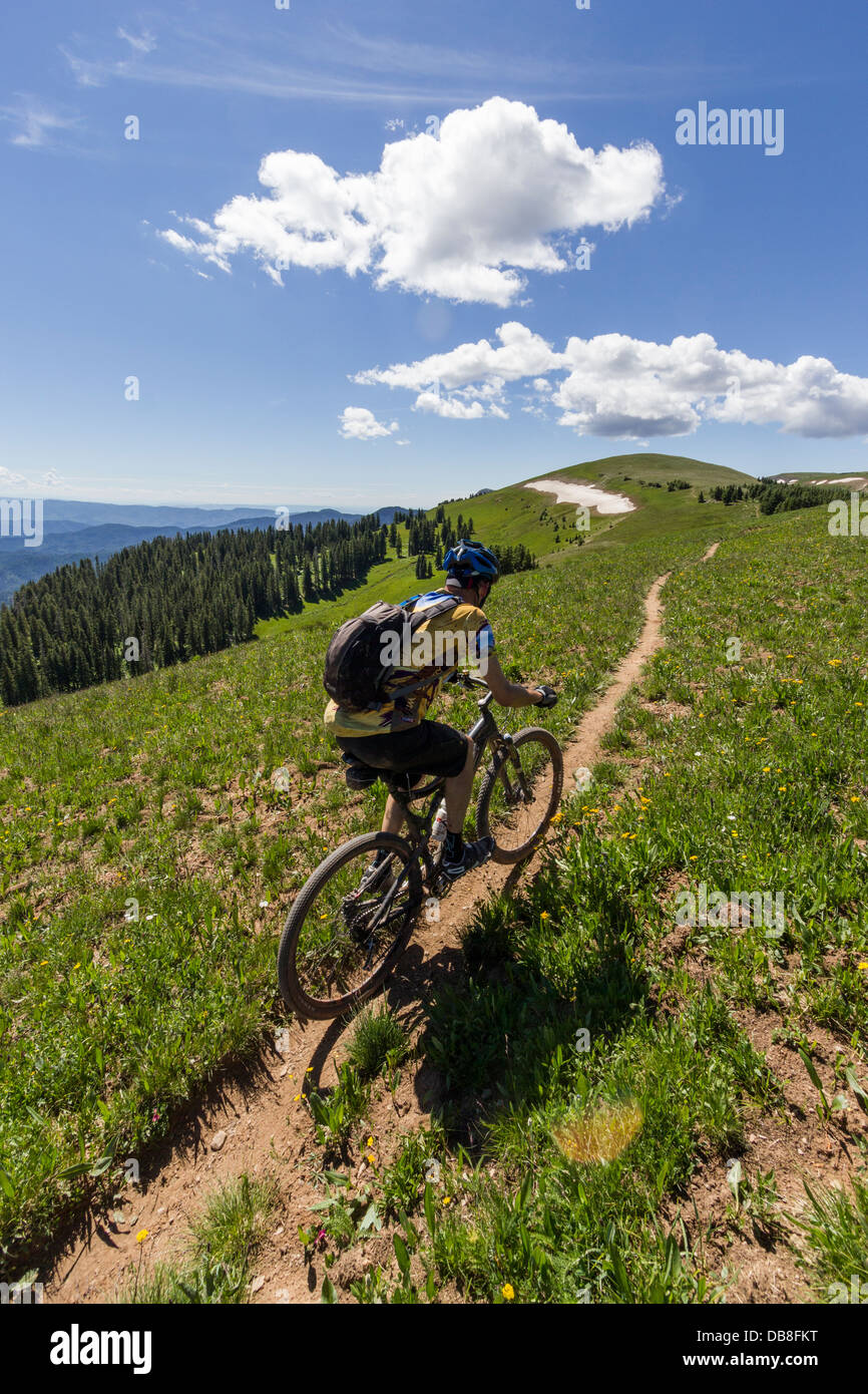 Randy Rasmussen mountain biking on the Colorado trail. Stock Photo