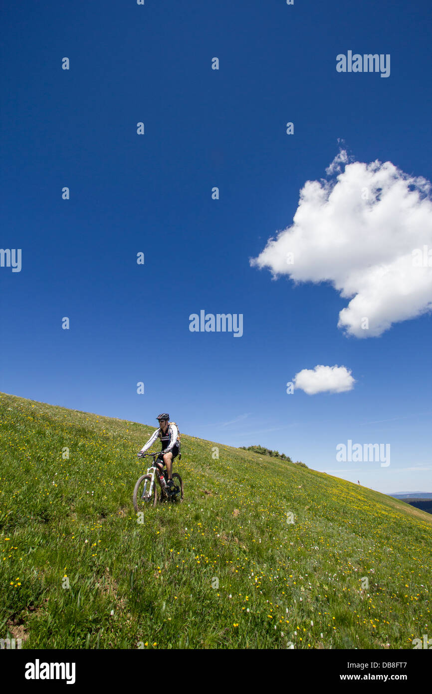 Jordan Fuhr mountain biking on the Colorado trail. Stock Photo