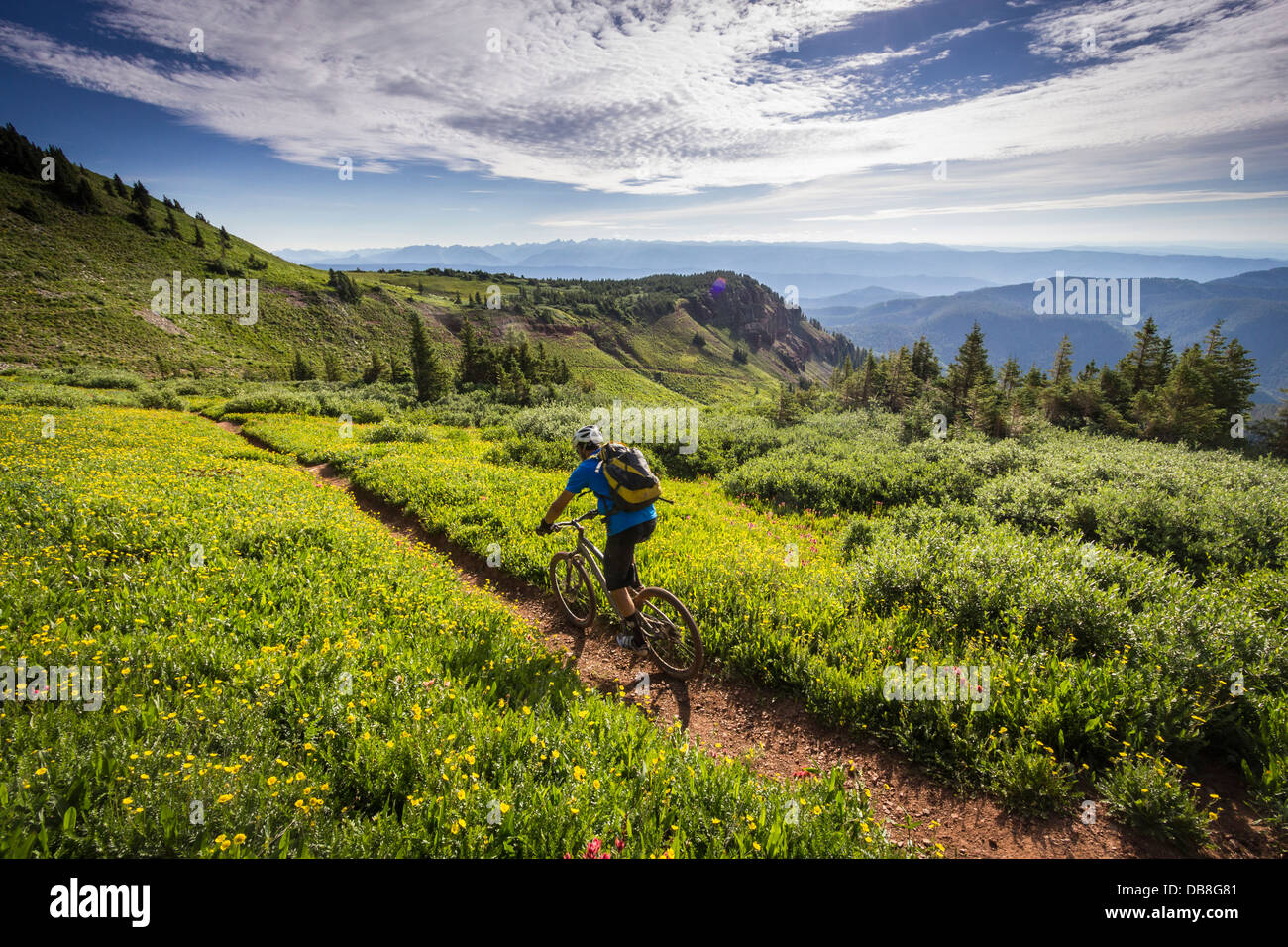 Simon Stewart mountain biking on the Colorado trail. Stock Photo