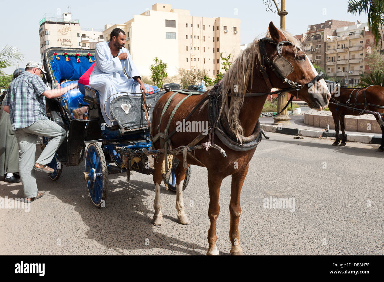 Horse carriage, Luxor, Egypt Stock Photo Alamy