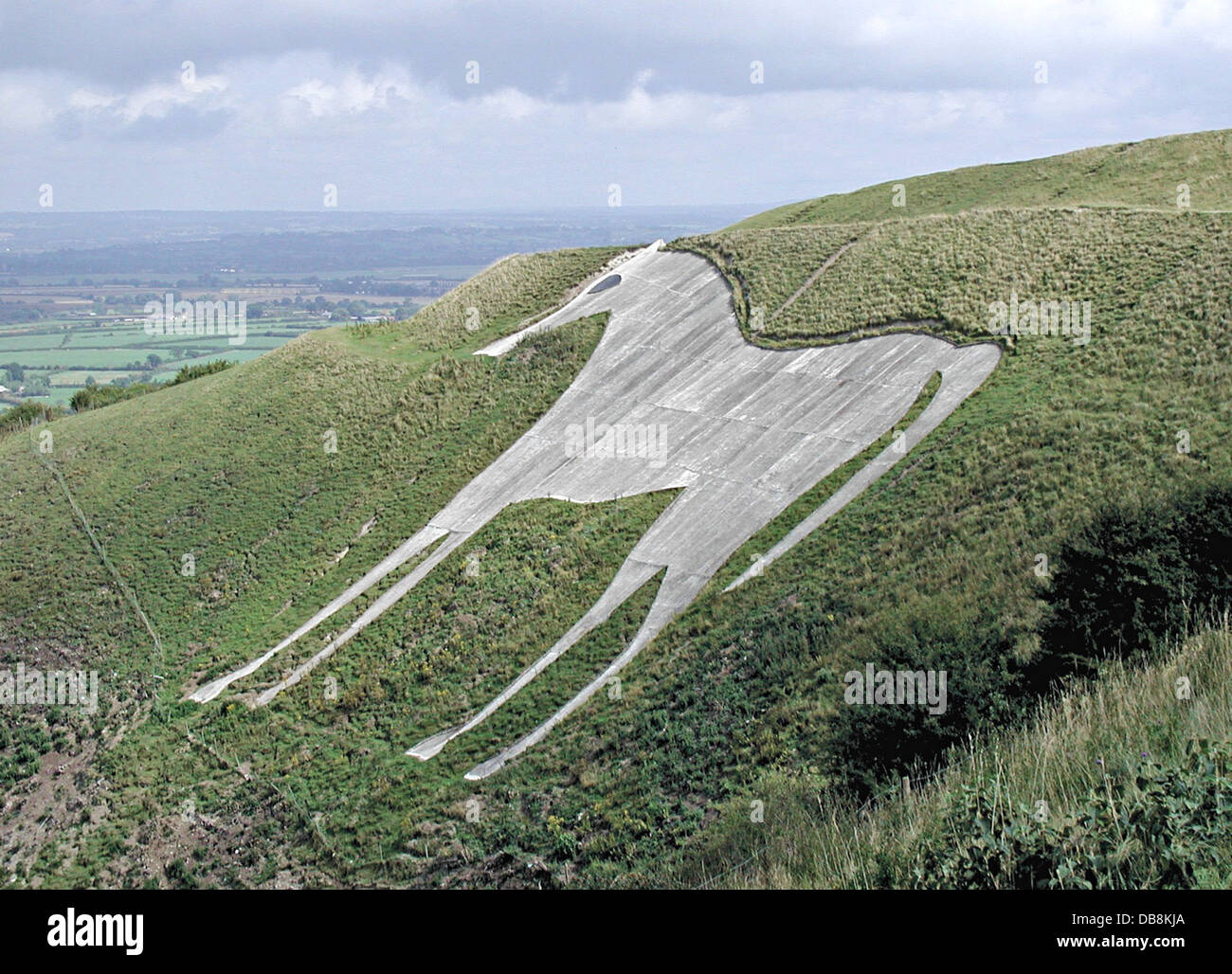 horse landscape england white horse hill Stock Photo
