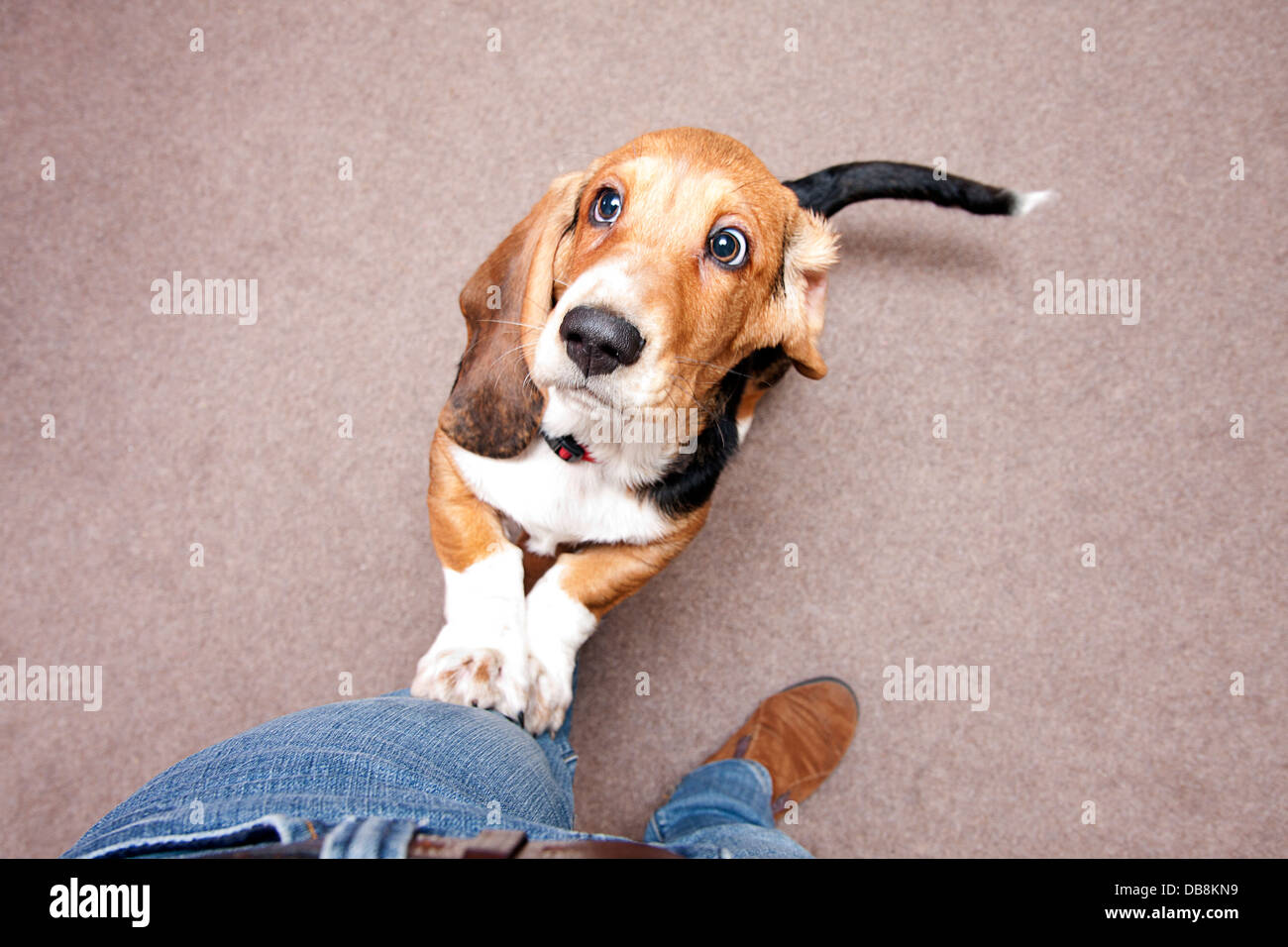 Andobe1471d hires stock photography and images Alamy