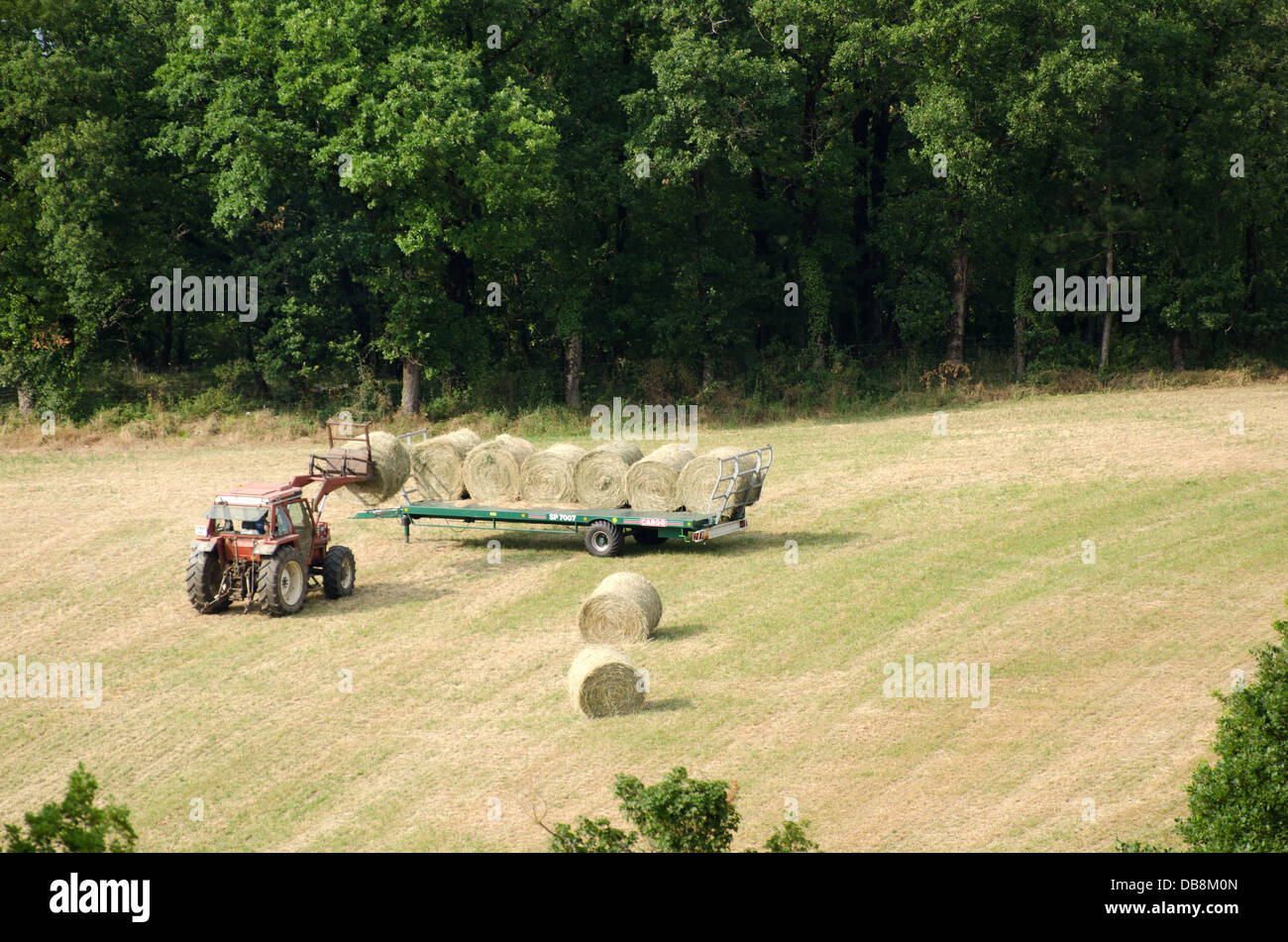 Tractor loading hay bales onto a trailer Stock Photo Alamy