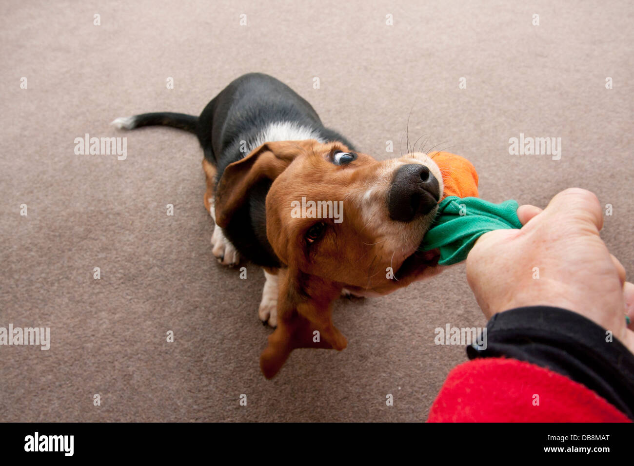 Andobe1769d hires stock photography and images Alamy