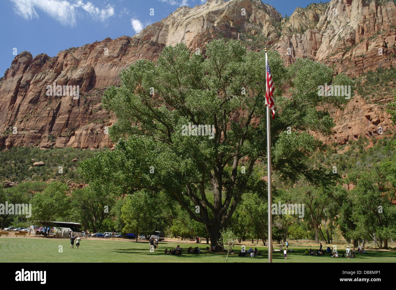 Blue sky view, towards trees, sandstone cliffs, people relaxing green park grass below broad crown tree, Zion Canyon Lodge, Utah Stock Photo