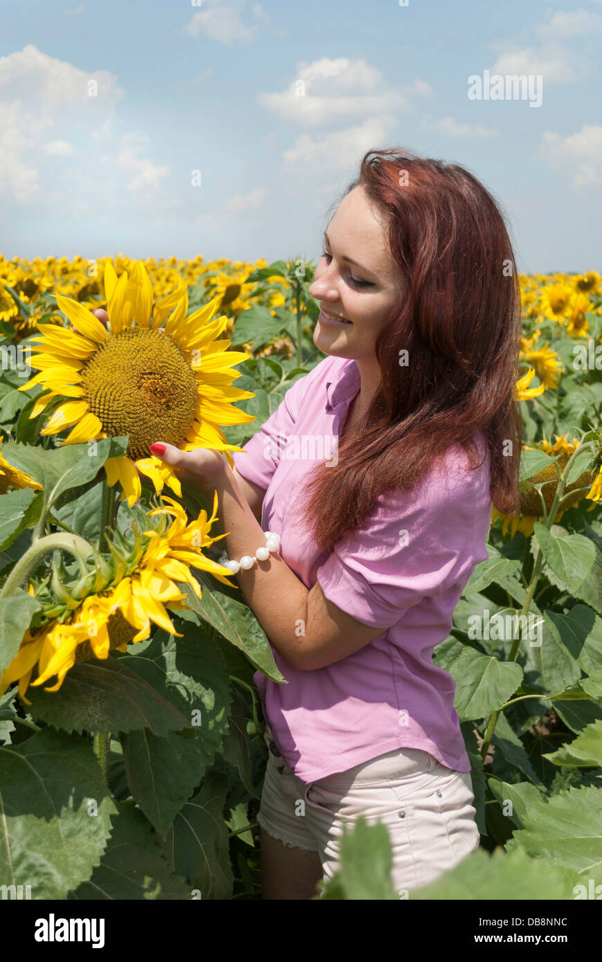 Beautiful girl in a field of sunflowers Stock Photo - Alamy