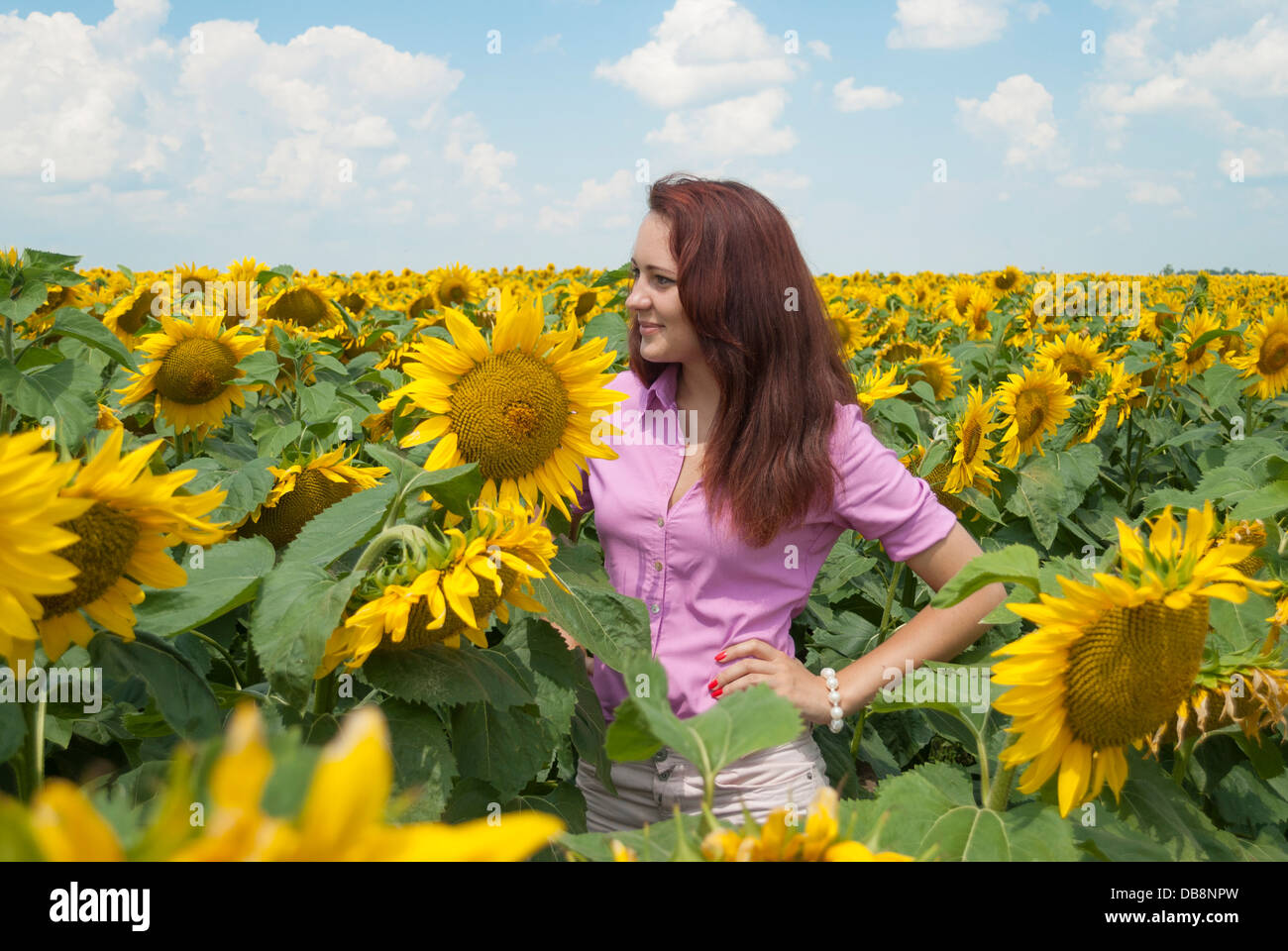 Beautiful girl in a field of sunflowers Stock Photo - Alamy