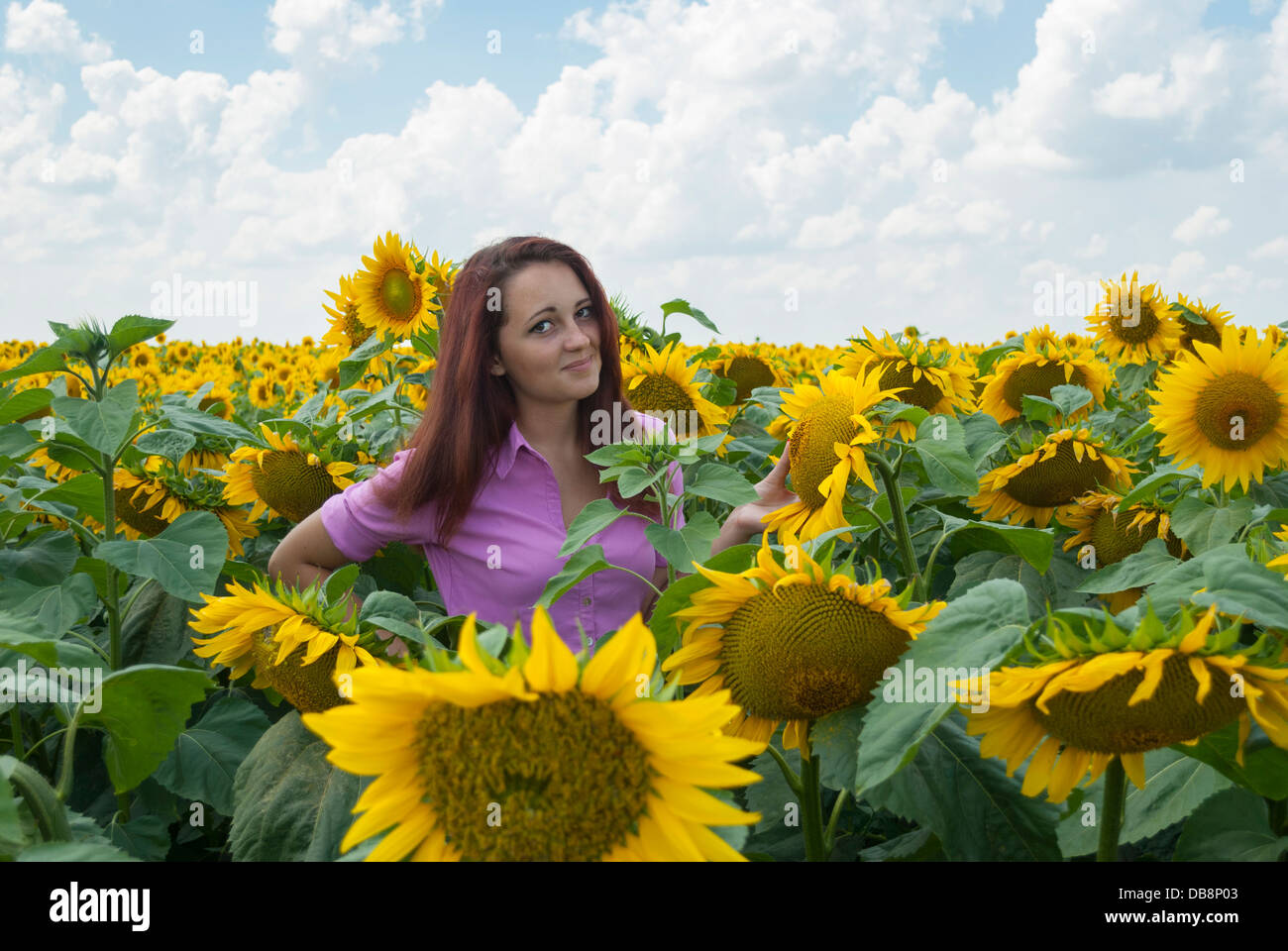 Beautiful girl in a field of sunflowers Stock Photo - Alamy