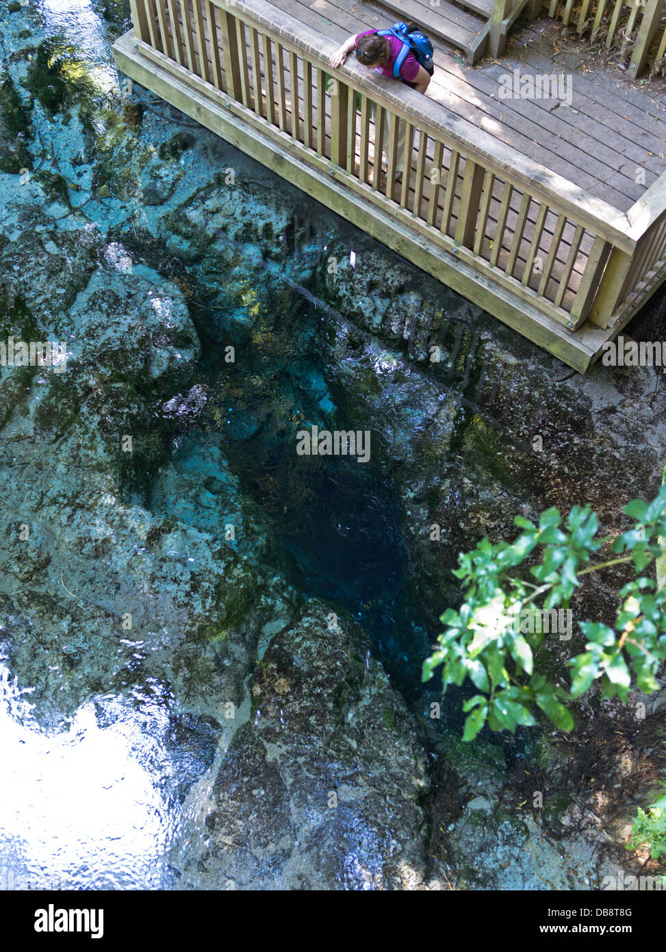 dh Hangarua Spring source ROTORUA HAMURANA NEW ZEALAND NZ Woman tourist view crystal clear water deep springs sight seeing alone Stock Photo