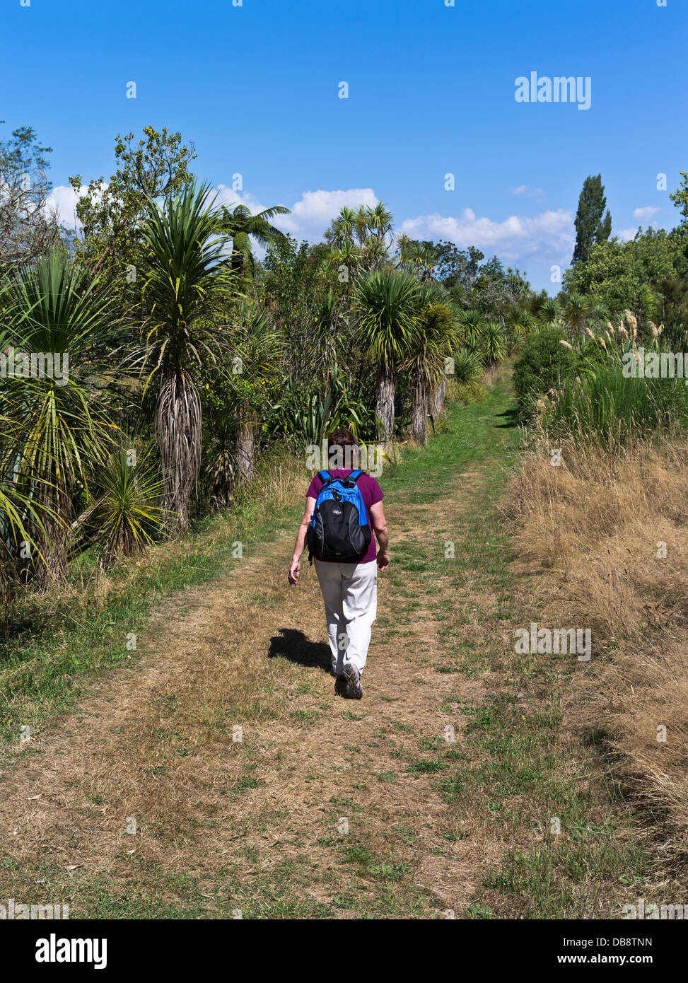 dh Recreation Reserve ROTORUA HAMURANA NEW ZEALAND NZ Woman tourist walking tree park walk trail Stock Photo