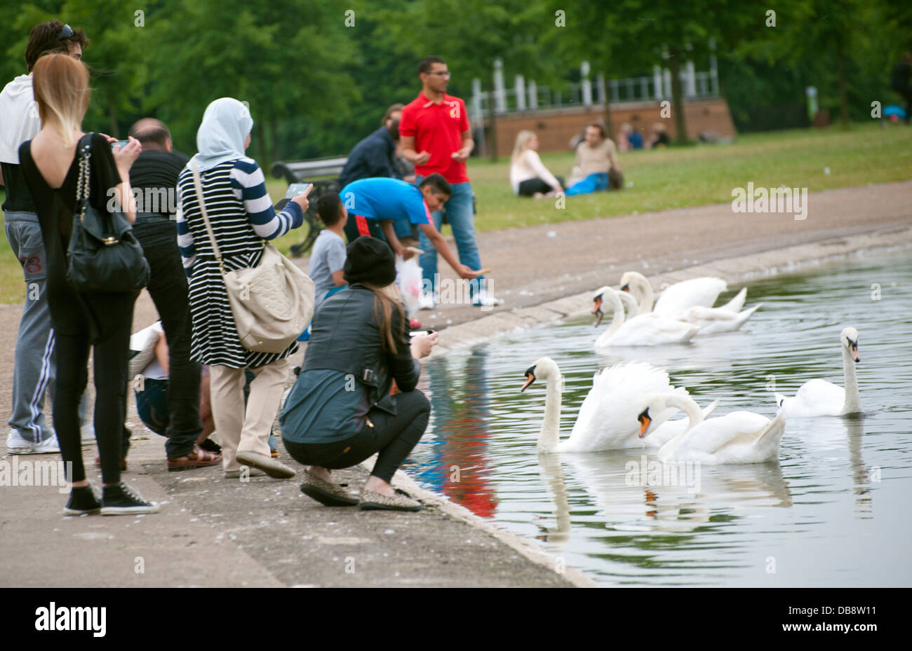 multi cultural people feeding swans at pond in Kensington gardens mixed age groups and gender Stock Photo