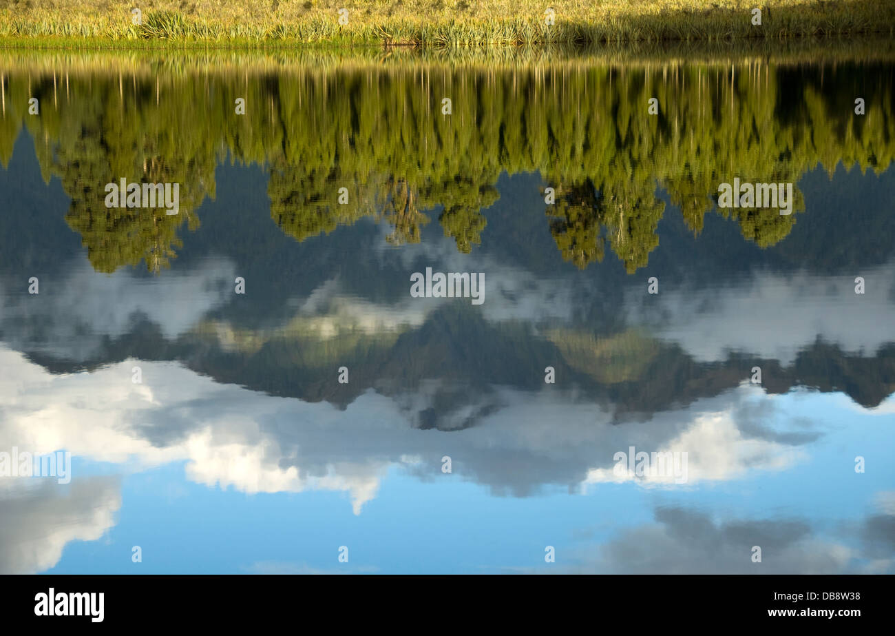 Reflection at Matheson lake in New Zealand Stock Photo - Alamy