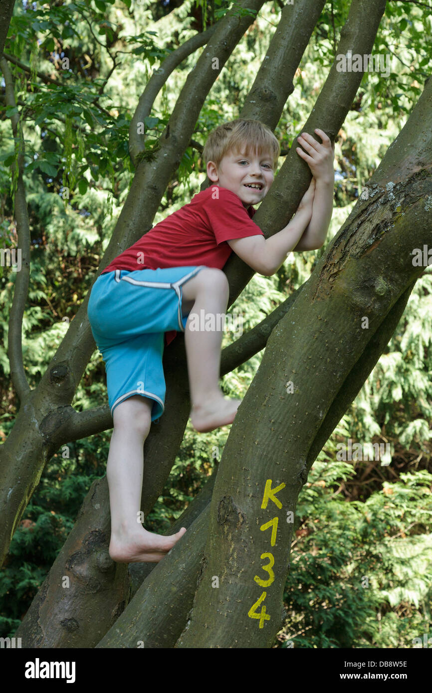 young boy climbing a tree Stock Photo