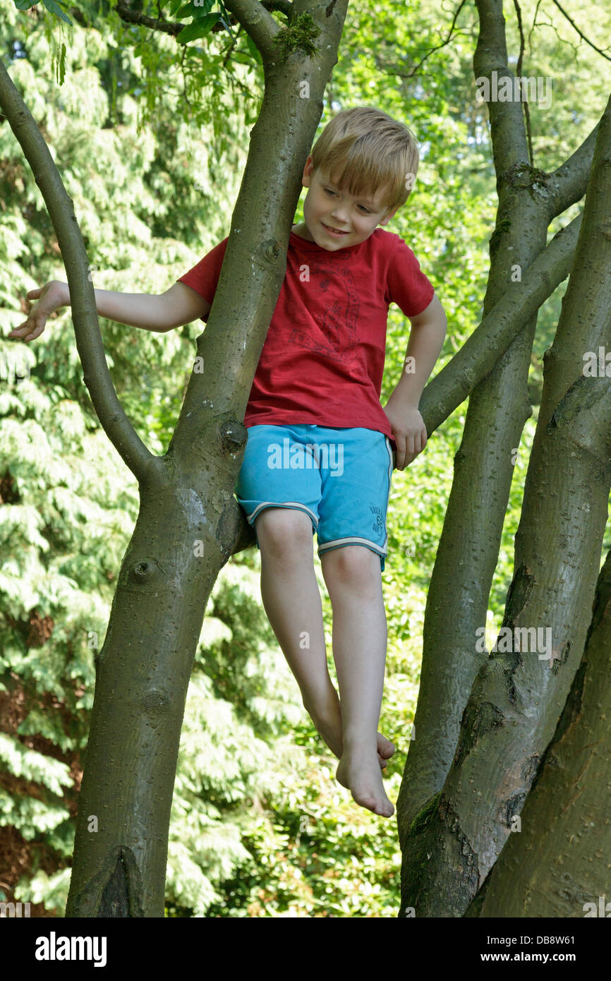 Boy climbing tree barefoot hi-res stock photography and images - Alamy