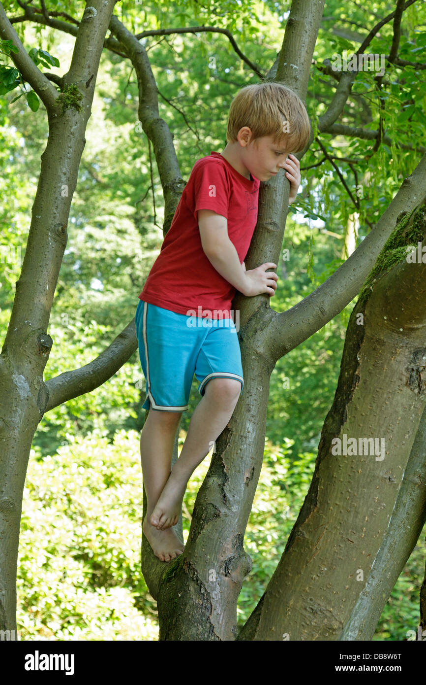 Boy Climbing Tree Barefoot Hi Res Stock Photography And Images Alamy