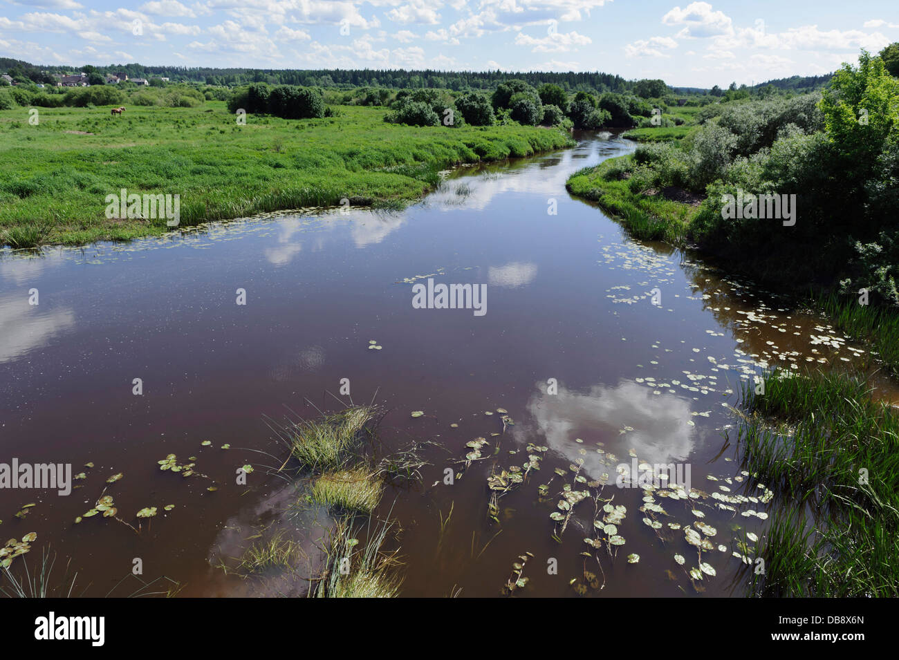 River Abava near Kandava, Latvia, Europe Stock Photo