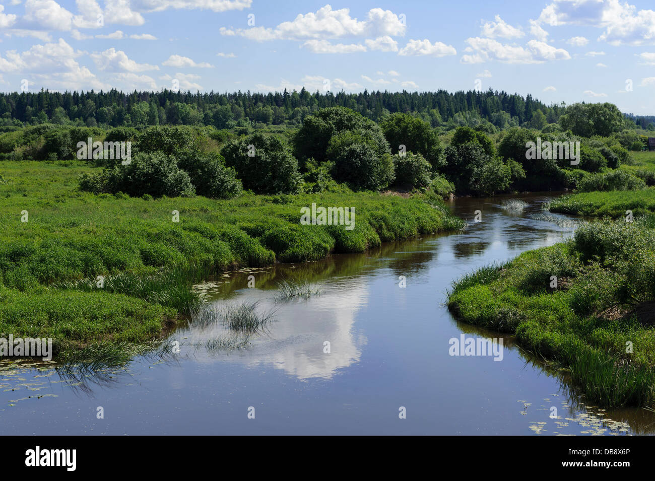 River Abava near Kandava, Latvia, Europe Stock Photo