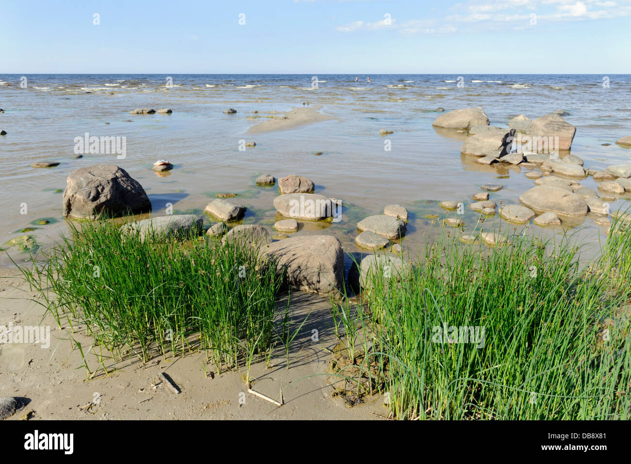 Beach at Roja, Latvia, Europe Stock Photo - Alamy