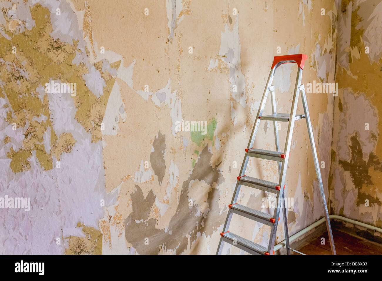 Old wallpapers and metallic ladder Stock Photo