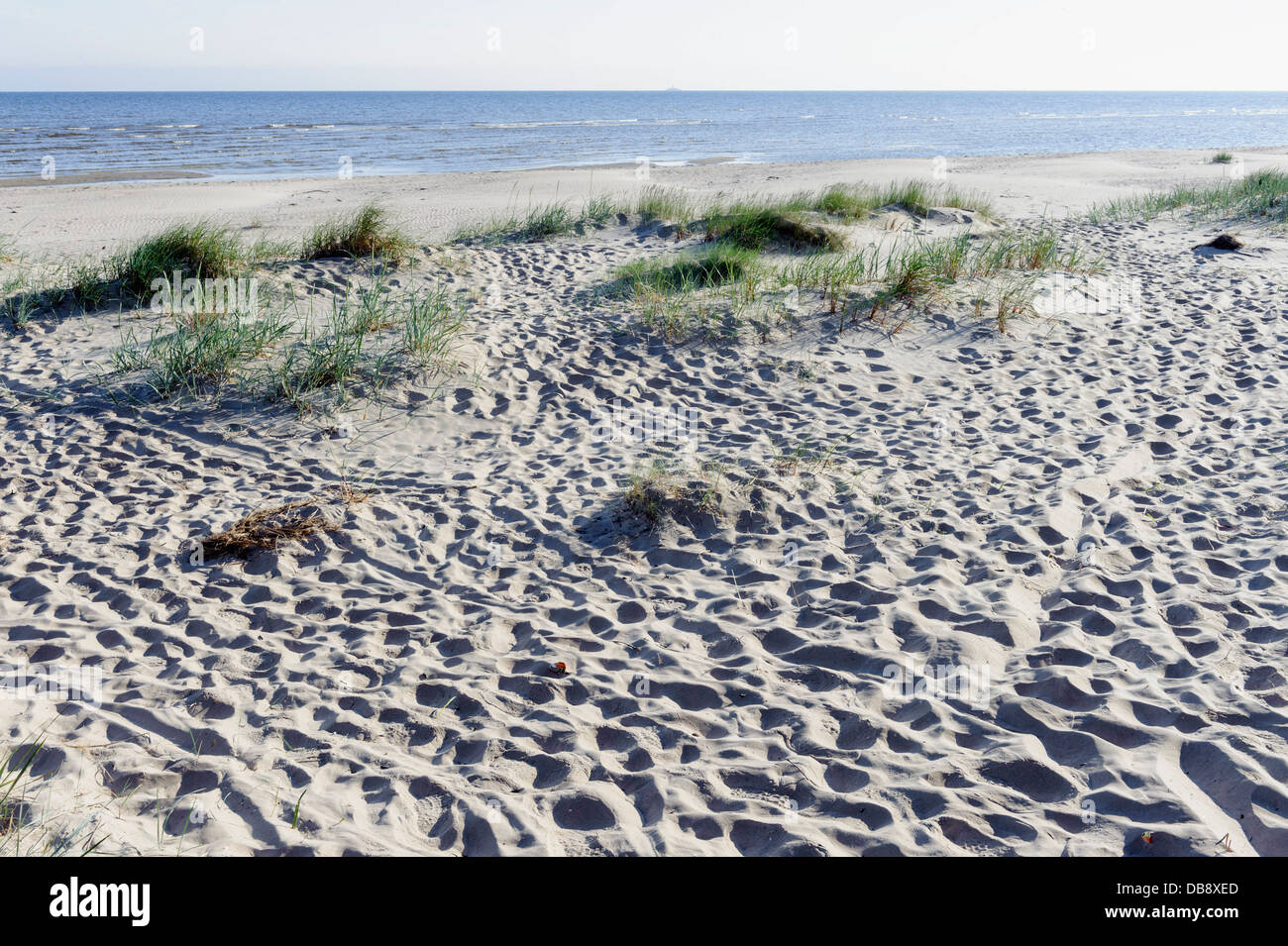 Beach  near Vaide, Latvia, Europe Stock Photo