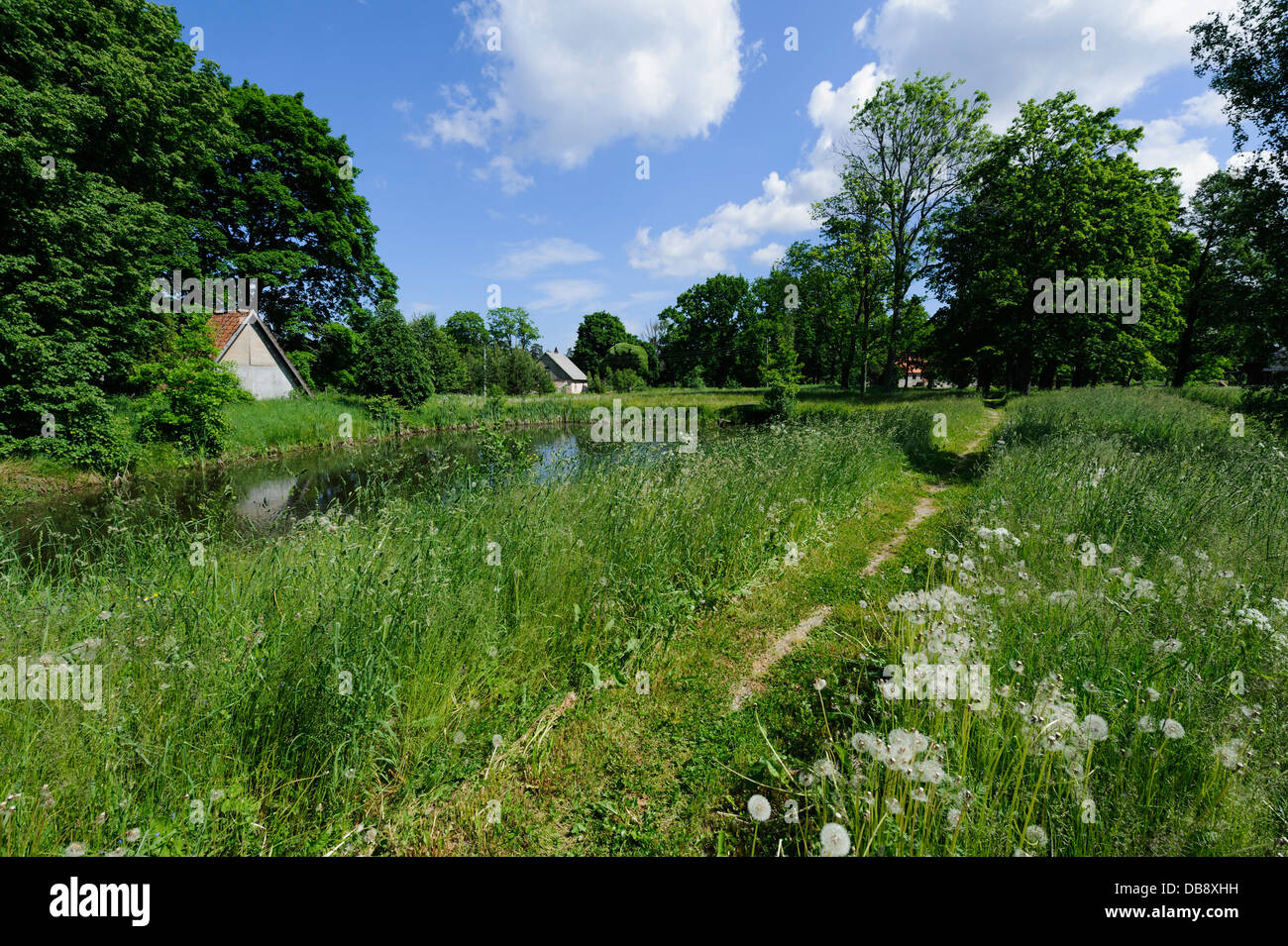 Meadow near Mazirbe, Latvia, Europe Stock Photo