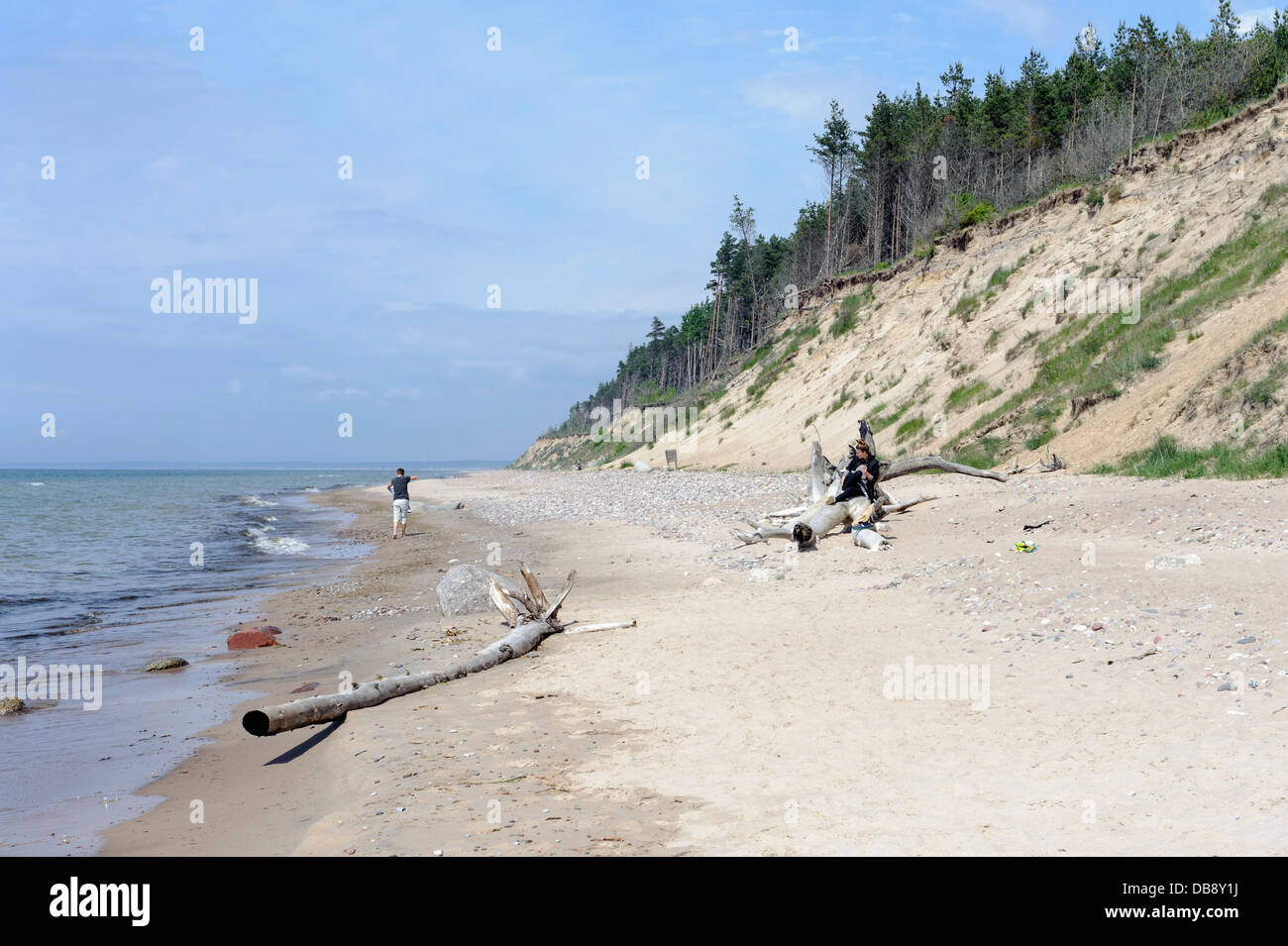 Beach and Cliff Coast in Jurkalne, Latvia, Europe Stock Photo