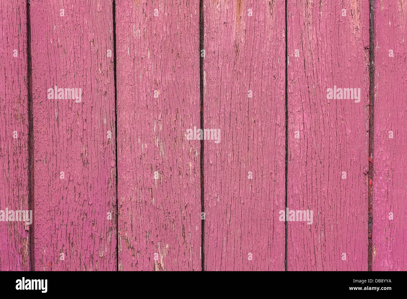 The Pink Grunge Wood Texture With Natural Patterns. Surface of old wood Paint over. Stock Photo