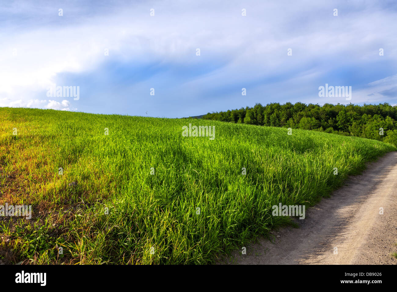 Green summer landscape Stock Photo - Alamy