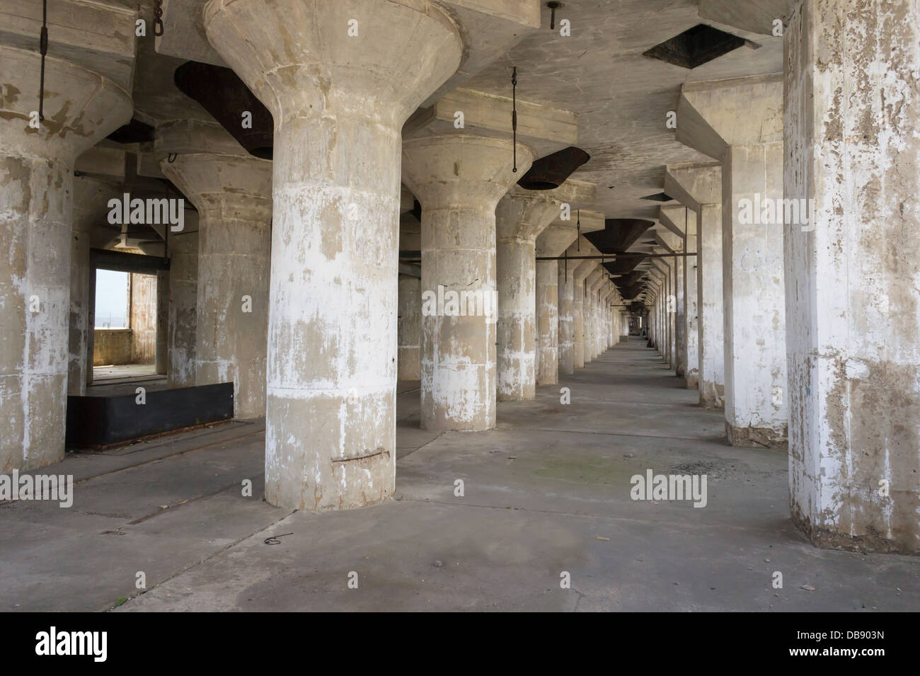 The Port of New York Grain Elevator Terminal in the neighborhood of Red