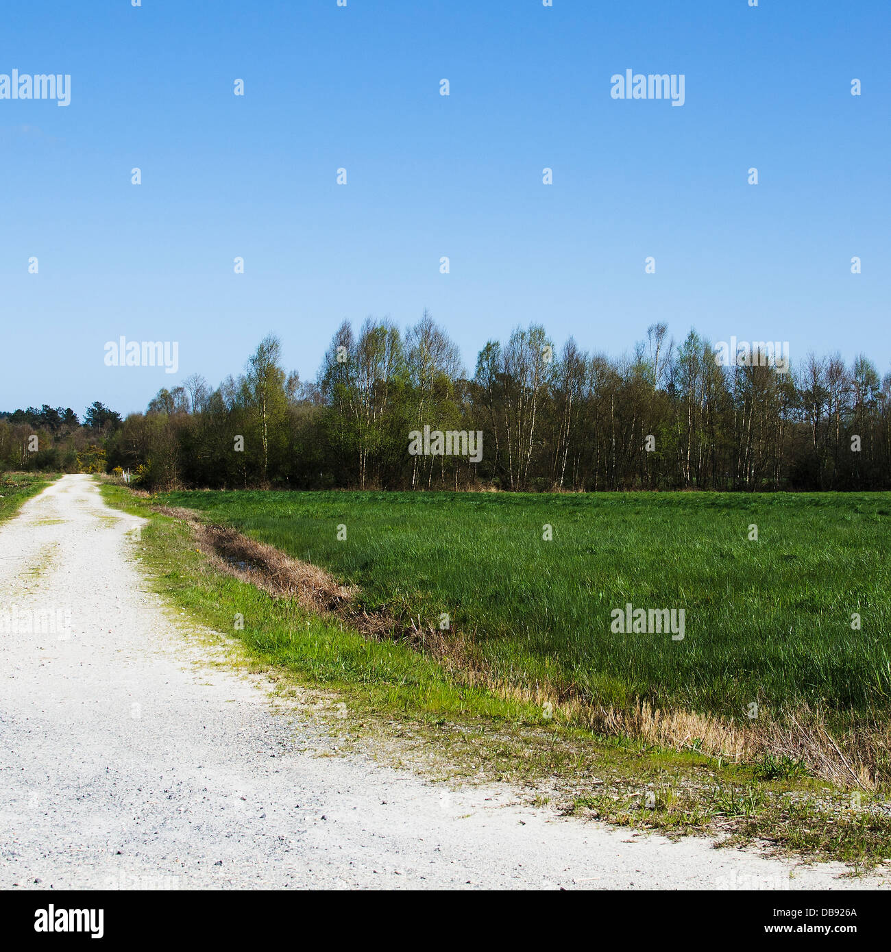 Dirt road in grass hi-res stock photography and images - Alamy