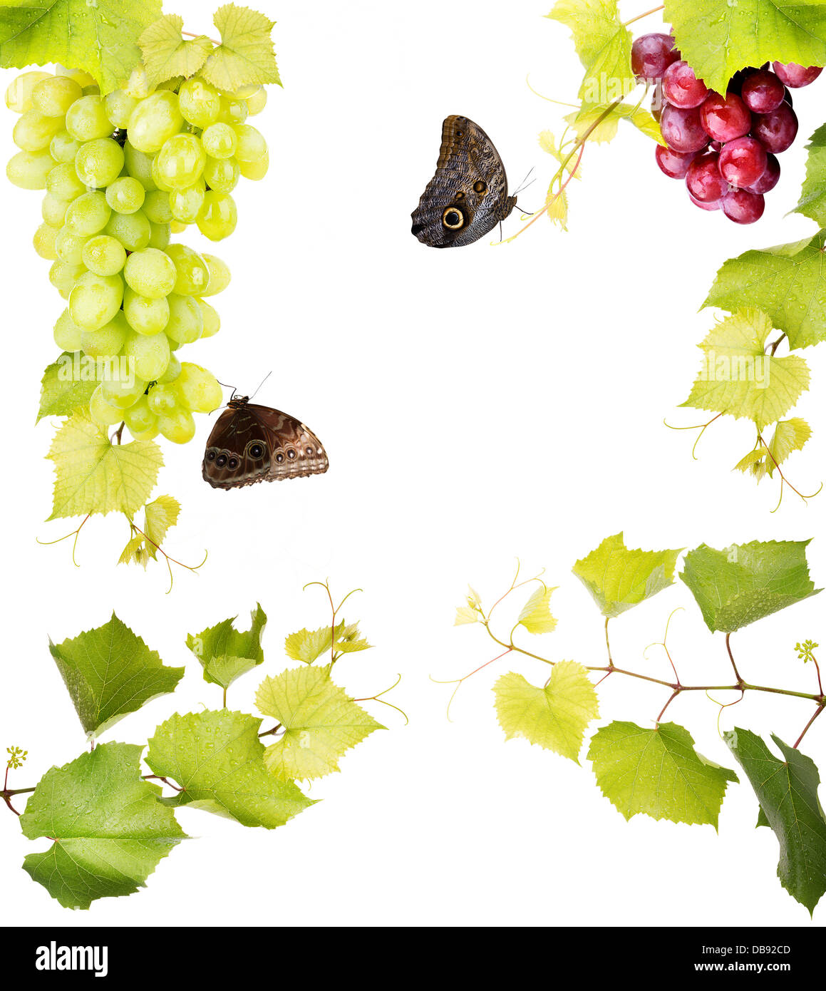 Fresh grape with Leaves isolated on a white background Stock Photo - Alamy