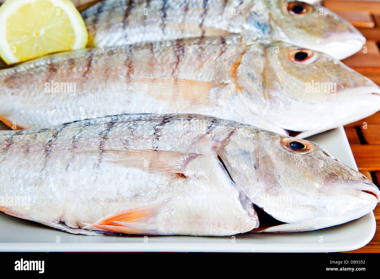 Raw  Sand steebras with lemon. Stock Photo