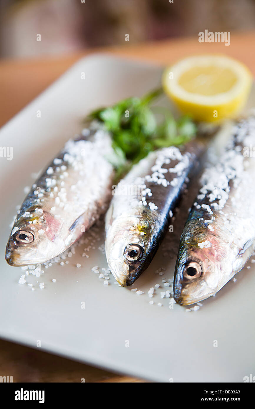 Sardine eyes hires stock photography and images Alamy