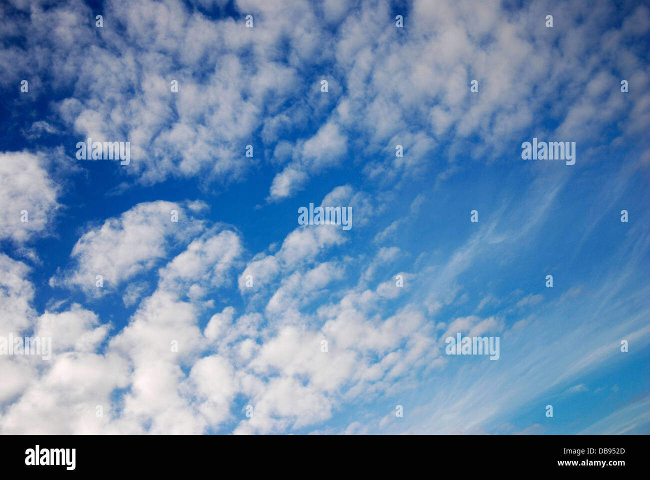 blue sky with white clouds in summer Stock Photo - Alamy