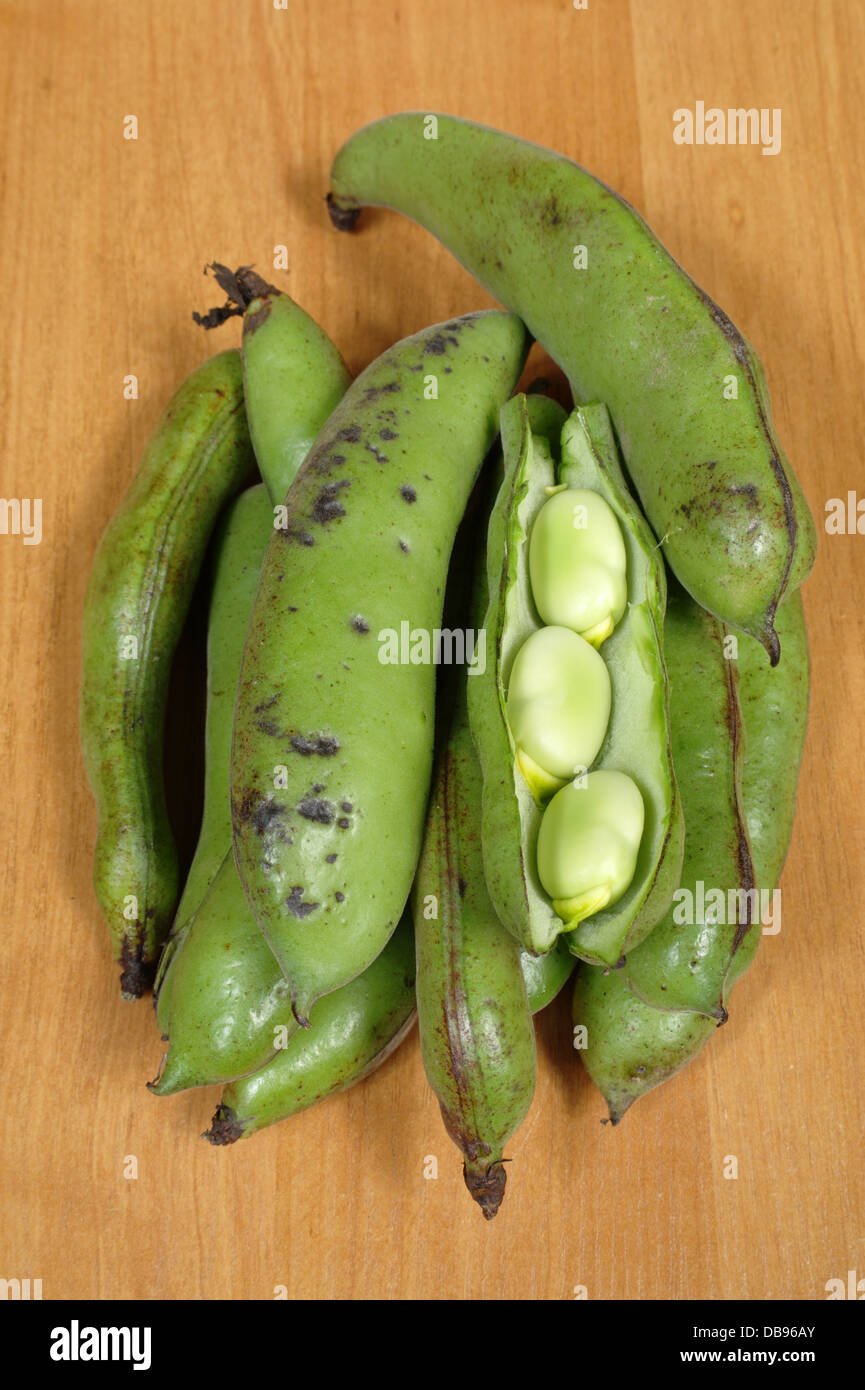 broad bean on a table Stock Photo Alamy