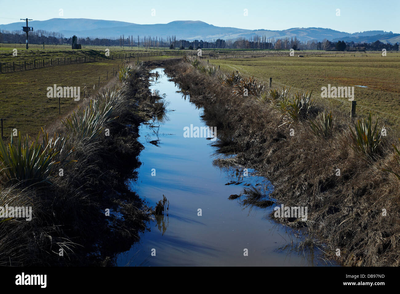 Drainage channel and planted riparian strip, Taieri Plains, near Dunedin, South Island, New Zealand Stock Photo