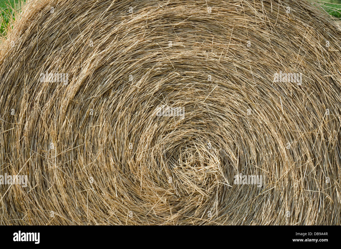 Close up of a hay bale Stock Photo
