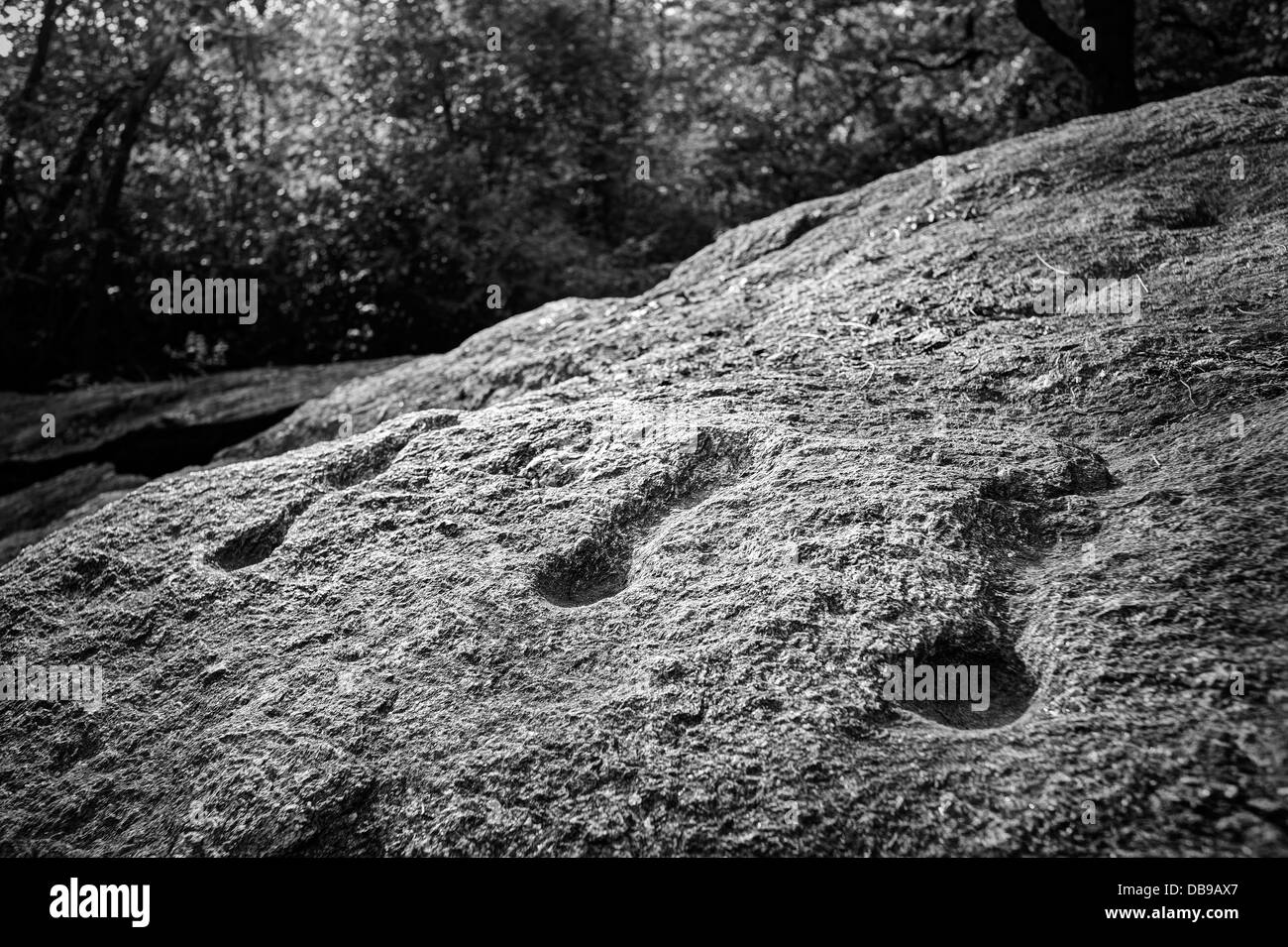 Prehistoric art. Cups on rock Stock Photo