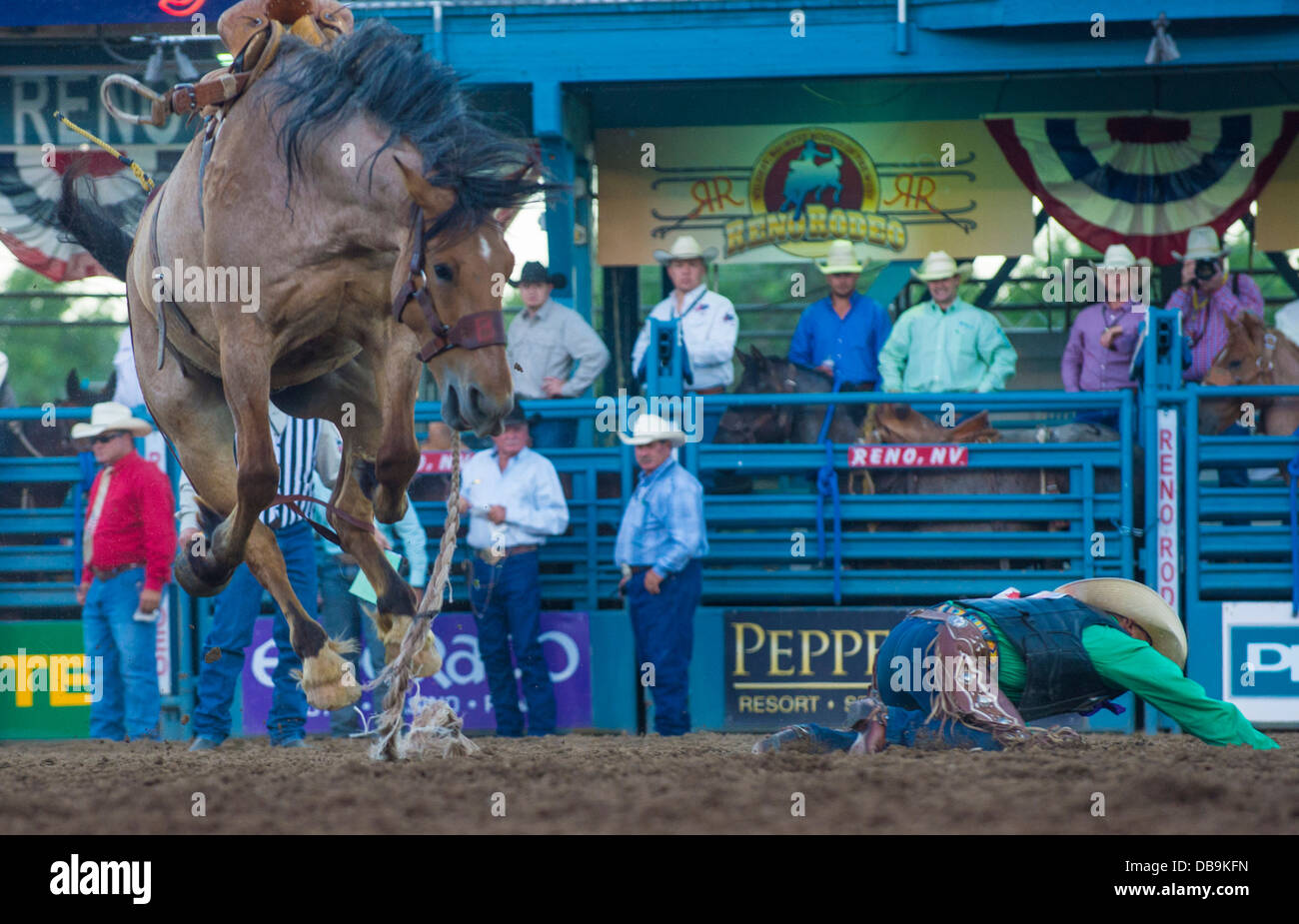 Saddle bronc riding a bronco arizona hi-res stock photography and ...