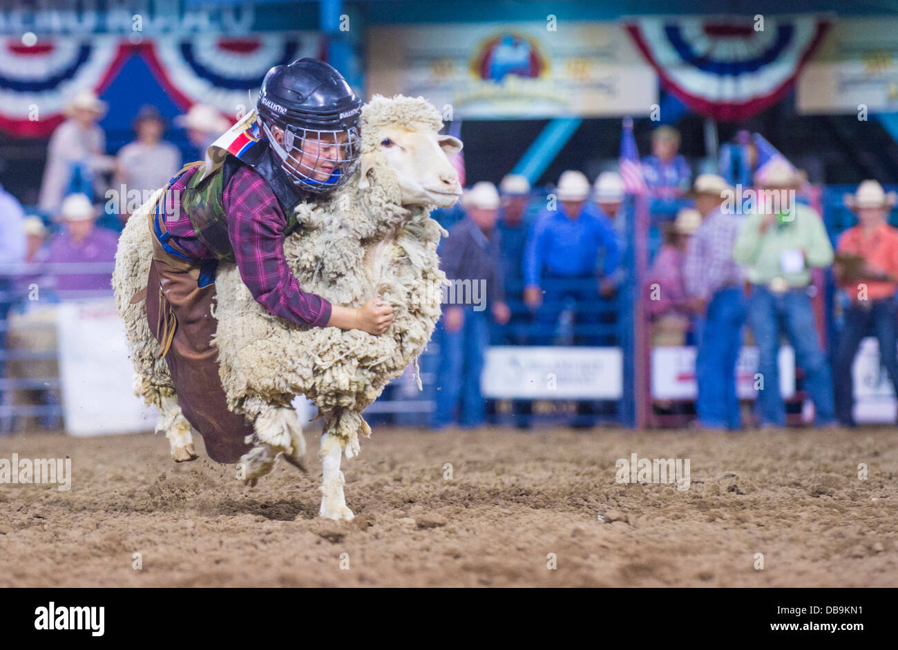 A boy riding on a sheep during a Mutton Busting contest at the Reno